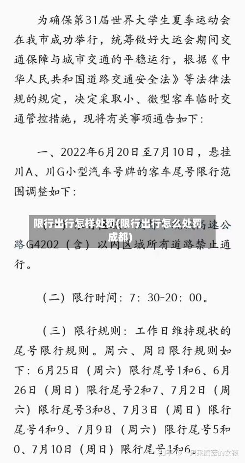 限行出行怎样处罚(限行出行怎么处罚成都)-第3张图片