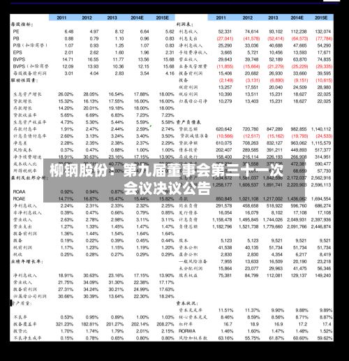 柳钢股份：第九届董事会第三十一次会议决议公告