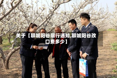 关于【聊城阳谷限行通知,聊城阳谷改口费多少】