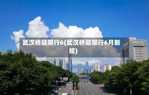 武汉桥隧限行6(武汉桥隧限行6月新规)-第3张图片