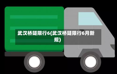 武汉桥隧限行6(武汉桥隧限行6月新规)
