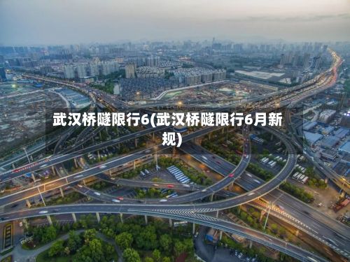 武汉桥隧限行6(武汉桥隧限行6月新规)-第2张图片