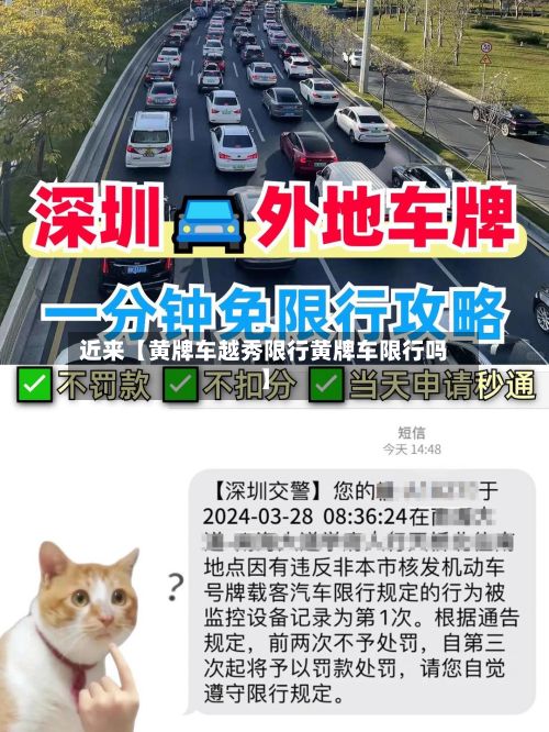近来【黄牌车越秀限行黄牌车限行吗】-第3张图片