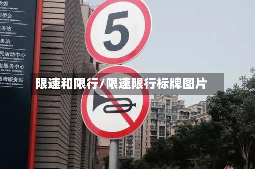 限速和限行/限速限行标牌图片