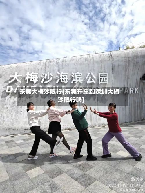 东莞大梅沙限行(东莞开车到深圳大梅沙限行吗)-第3张图片