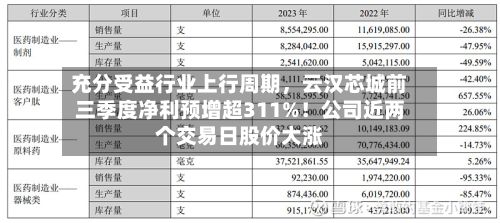 充分受益行业上行周期，云汉芯城前三季度净利预增超311%！公司近两个交易日股价大涨