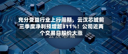 充分受益行业上行周期，云汉芯城前三季度净利预增超311%！公司近两个交易日股价大涨-第2张图片