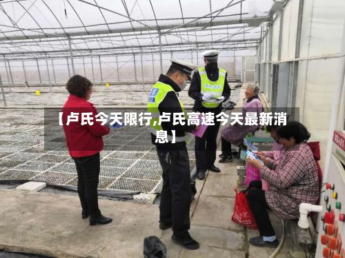 【卢氏今天限行,卢氏高速今天最新消息】