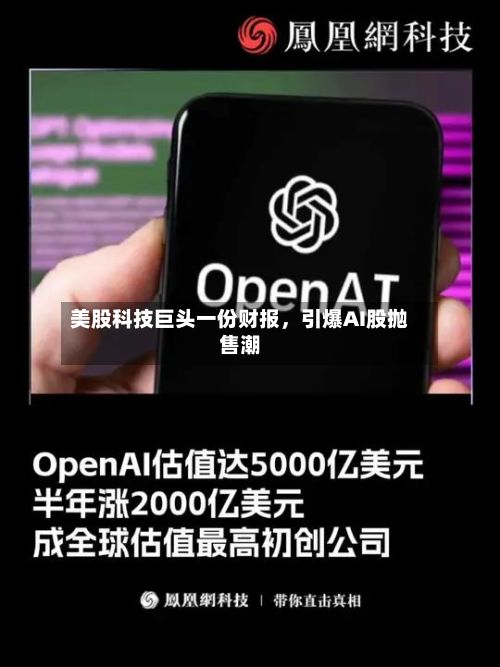 美股科技巨头一份财报，引爆AI股抛售潮-第2张图片