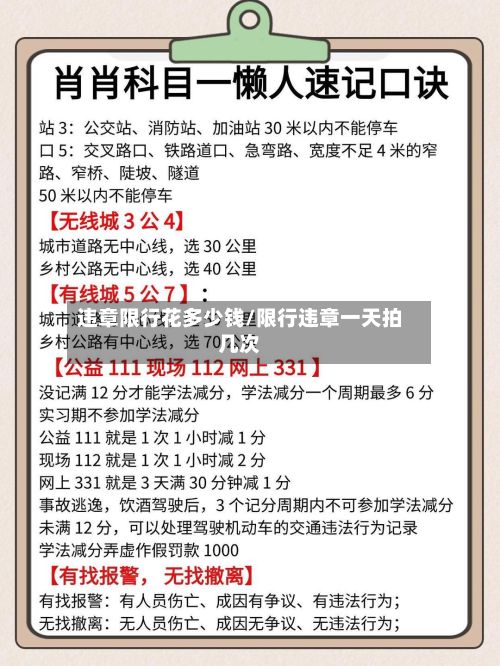 违章限行花多少钱/限行违章一天拍几次