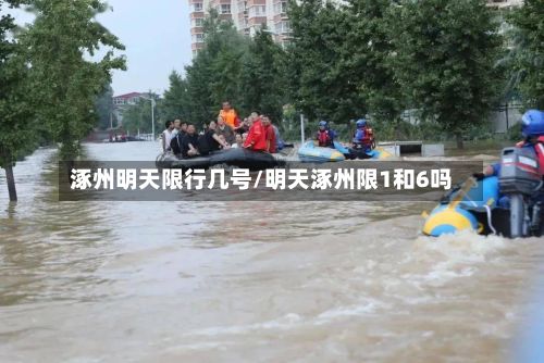 涿州明天限行几号/明天涿州限1和6吗-第2张图片