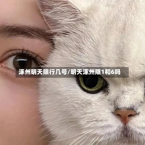 涿州明天限行几号/明天涿州限1和6吗-第3张图片