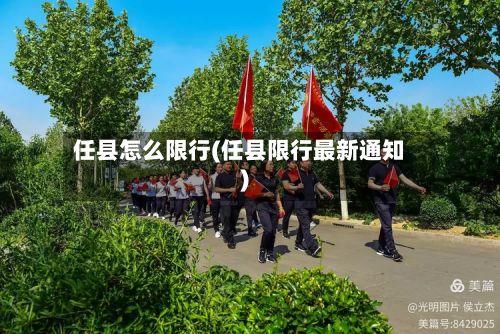 任县怎么限行(任县限行最新通知)-第2张图片