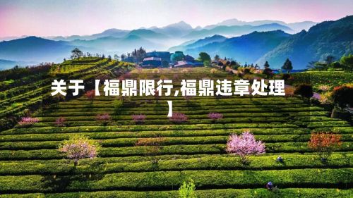 关于【福鼎限行,福鼎违章处理】