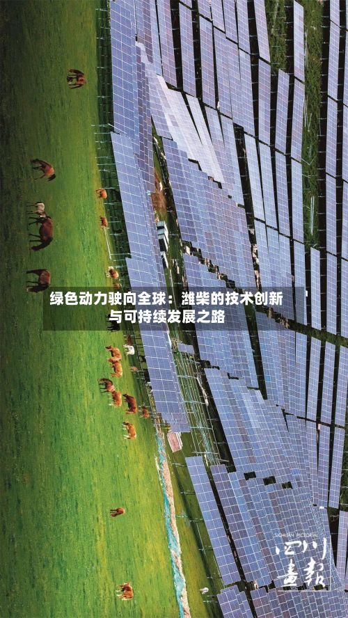绿色动力驶向全球:潍柴的技术创新与可持续发展之路-第3张图片