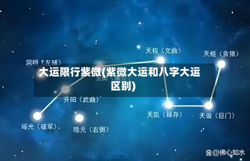 大运限行紫微(紫微大运和八字大运区别)-第3张图片