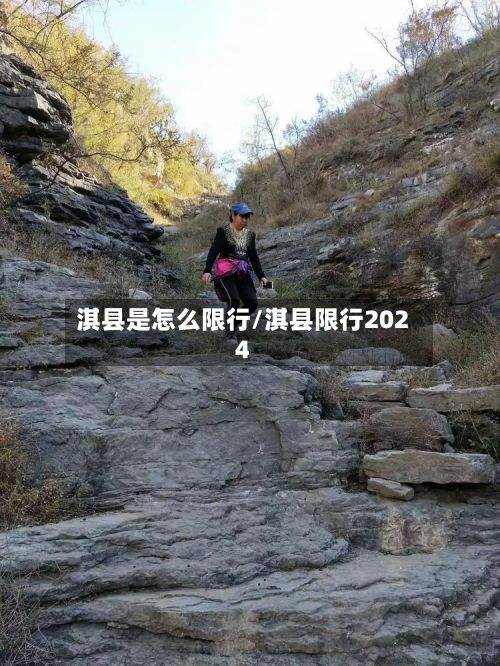 淇县是怎么限行/淇县限行2024-第3张图片