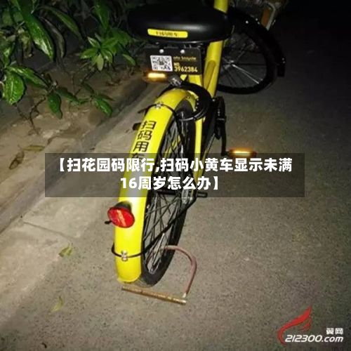 【扫花园码限行,扫码小黄车显示未满16周岁怎么办】