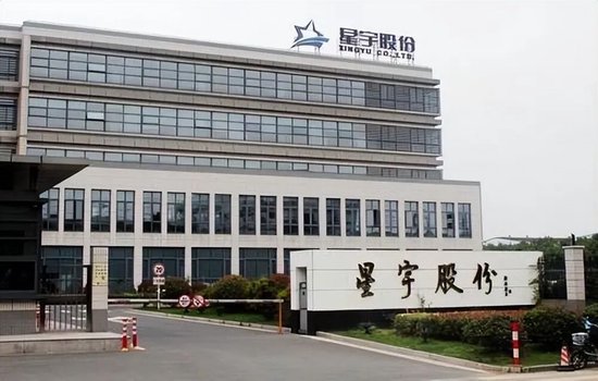 代价沉重，为省几百万	，星宇赴港上市果然遇阻，后悔也来不及了，给制造业敲响警钟