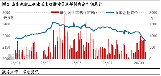 “玉”见未来：华北新季玉米价格持续下跌，东北产区如何应对？