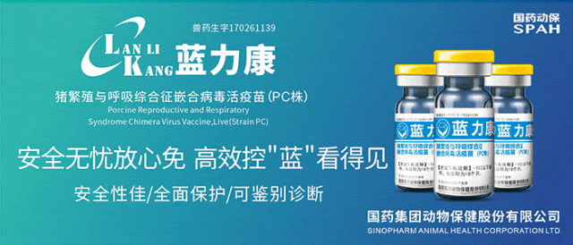 注意！猪肉股逆势翻红！猪价跌至低位，亏损加剧！预计国庆猪价将会这样走！