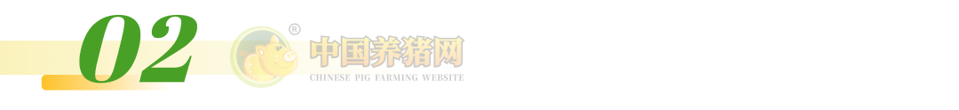 注意！猪肉股逆势翻红！猪价跌至低位	，亏损加剧！预计国庆猪价将会这样走！