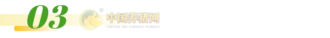 注意！猪肉股逆势翻红！猪价跌至低位	，亏损加剧！预计国庆猪价将会这样走！